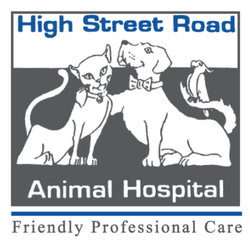 High Street Road Animal Hospital