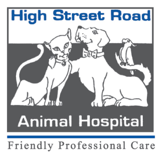 all city pet care emergency hospital