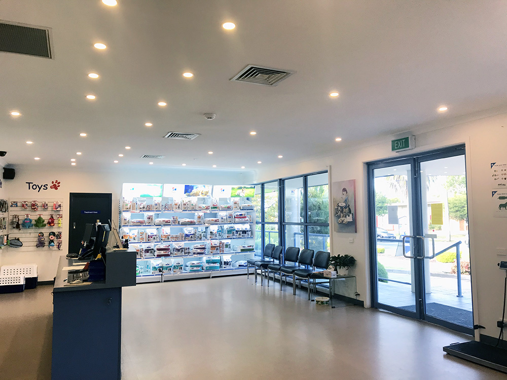 High Street Road Animal Hospital - Vet in Mt Waverley 