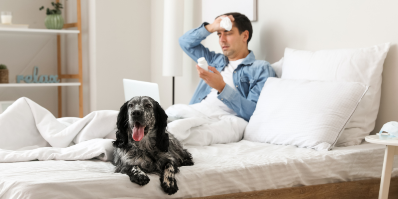 What should you do with your pet when you’ve got a cold or the flu?