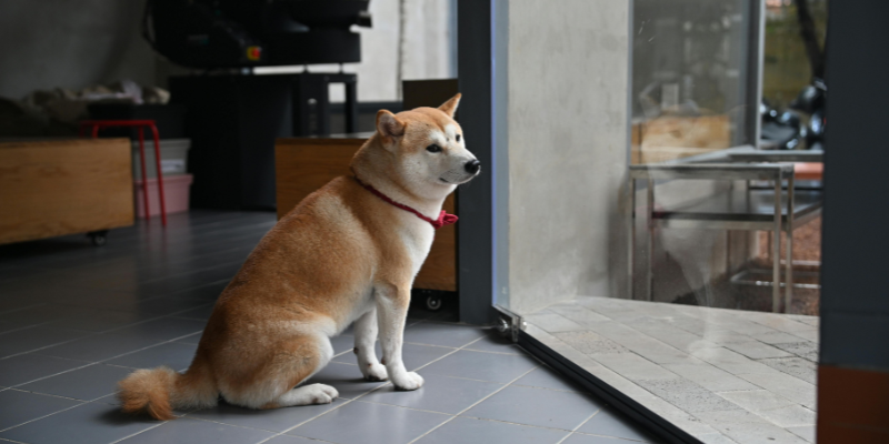 Bottom scooting: what a drag!