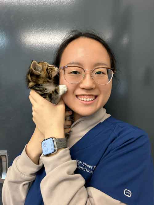 Meet the Team at High Street Road Animal Hospital - Rachel Dalsanto